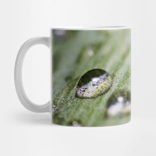 Aqua Drops. Macro Photography Mug